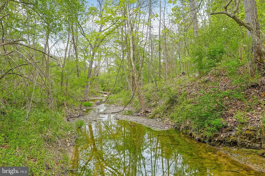 Bear Hill Rd Se, Oldtown, MD 21555 - #3