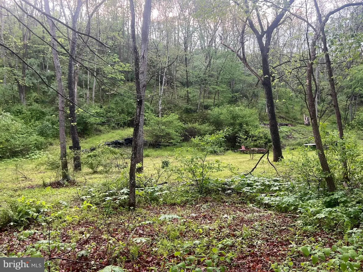 0 Sidling Hill Creek Rd, Little Orleans, MD 21766 - #1