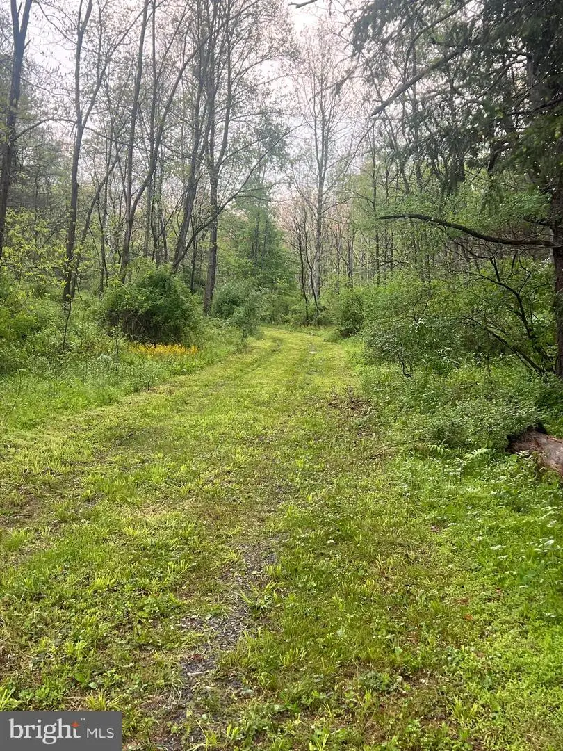 0 Sidling Hill Creek Rd, Little Orleans, MD 21766 - #3