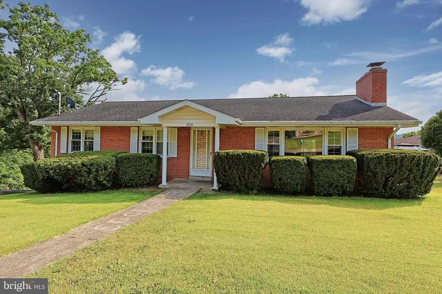 203 Marsh Ave, Westernport, MD 21562 - #3