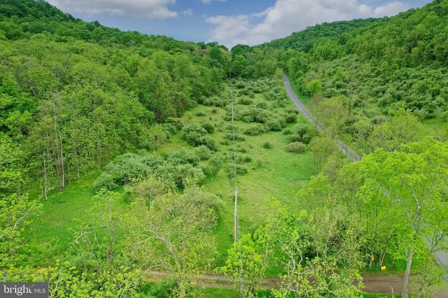 Old Williams Rd Se, Flintstone, MD 21530 - #2