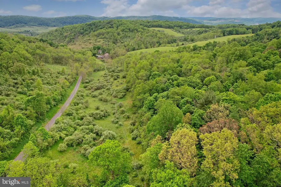 Old Williams Rd Se, Flintstone, MD 21530 - #3