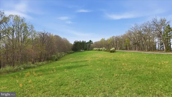 Green Ridge Rd, FLINTSTONE, MD 21530