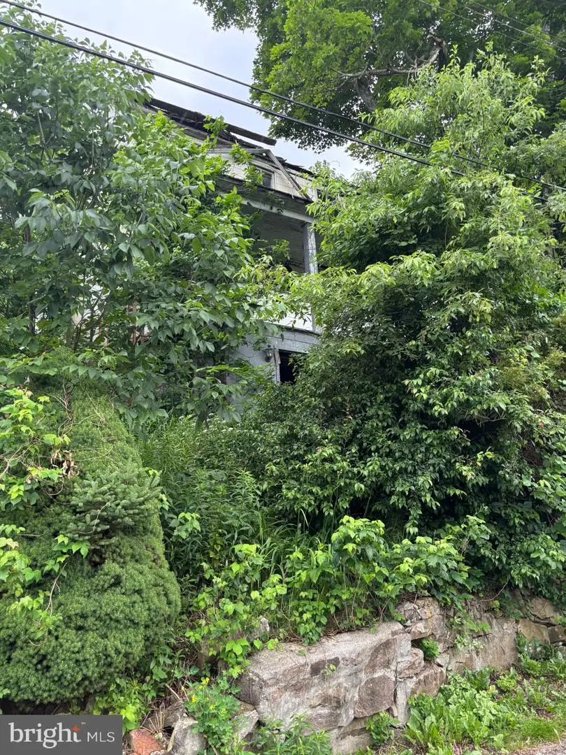 13 Dudley St, Lonaconing, MD 21539 - #1