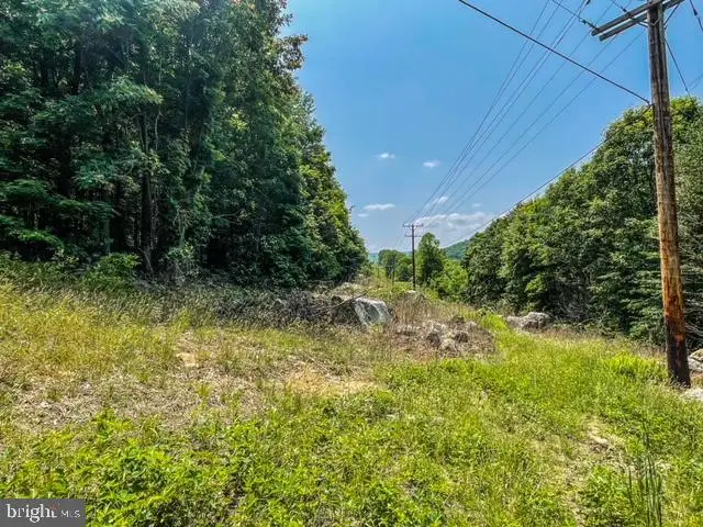 25413 Sisler Hill Rd, Westernport, MD 21562 - #3