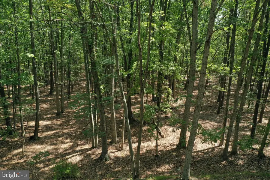 Walnut Ridge Rd, Oldtown, MD 21555 - #2