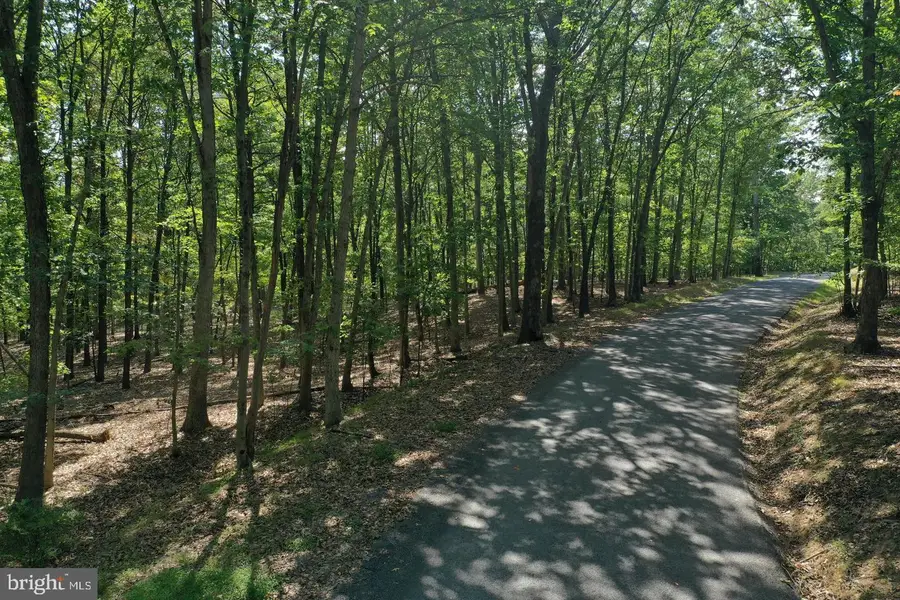 Walnut Ridge Rd, Oldtown, MD 21555 - #3