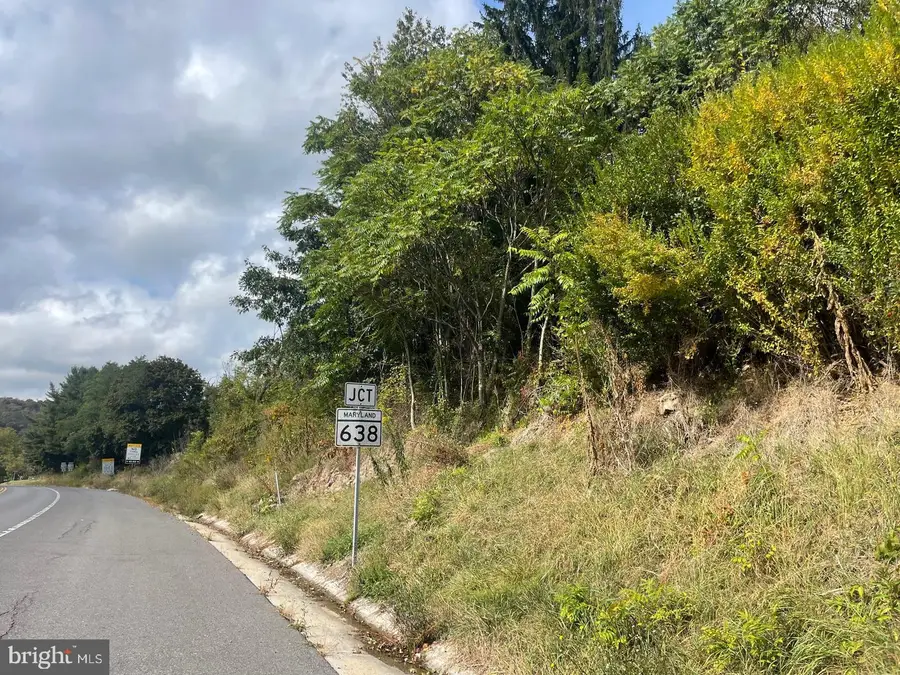 Route 40 Rd, Eckhart Mines, MD 21528 - #2