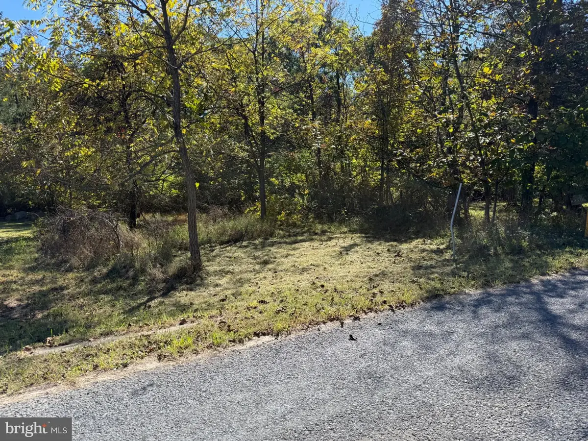 13704 Fir Tree Ln, Cresaptown, MD 21502 - #1