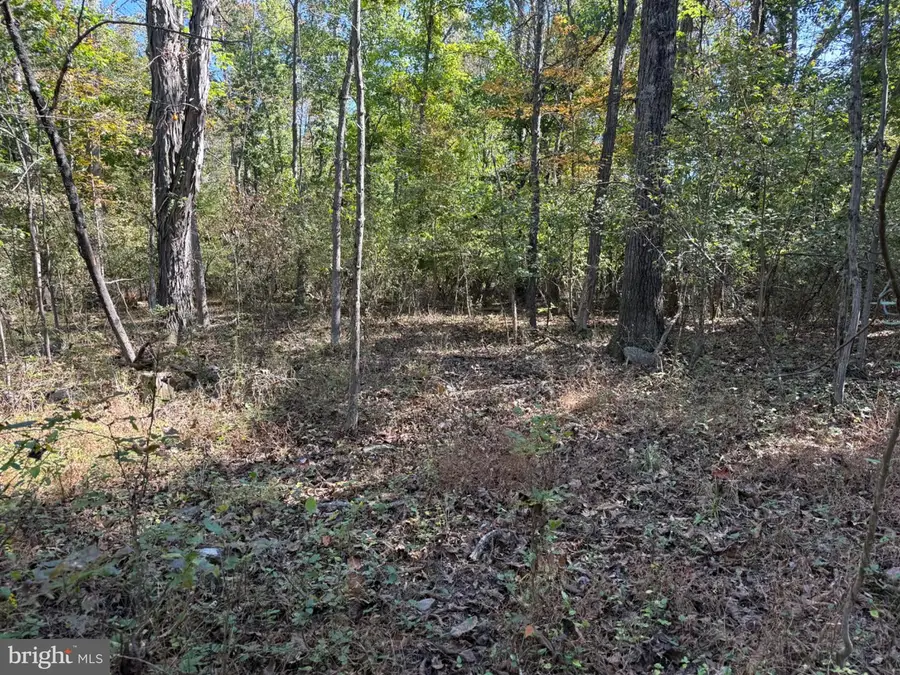 13704 Fir Tree Ln, Cresaptown, MD 21502 - #2