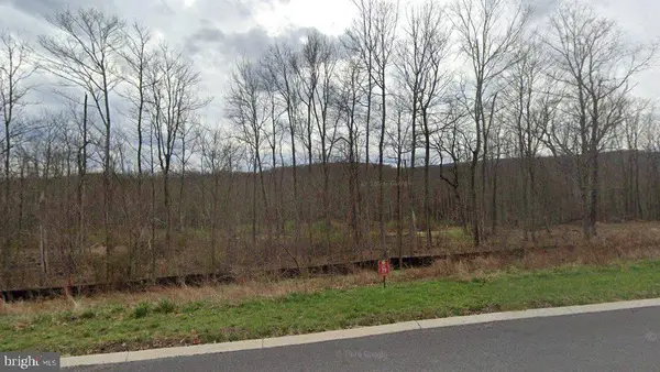213 Redstone Ter, FROSTBURG, MD 21532