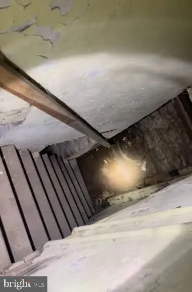 729 N Fremont Ave, Baltimore, MD 21217 - Image #3