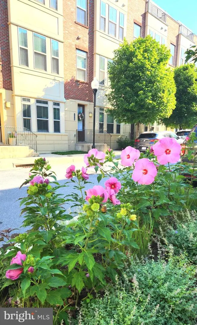 1313 Benjamin St, Baltimore, MD 21230 - #2