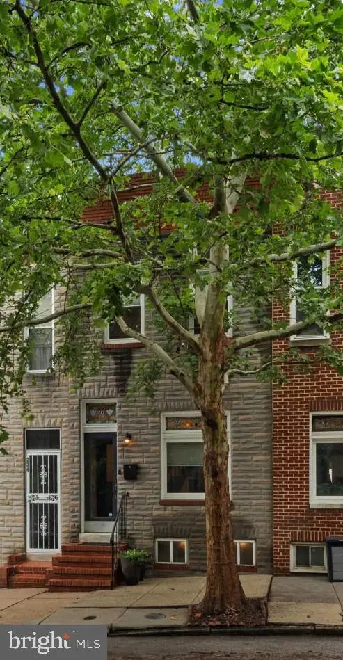 222 S Collington Ave, Baltimore, MD 21231 - #2