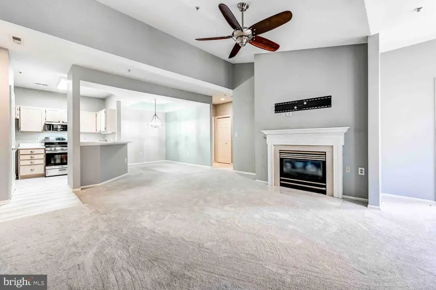 8931 Groffs Mill Dr #8931, Owings Mills, MD 21117 - Image #3