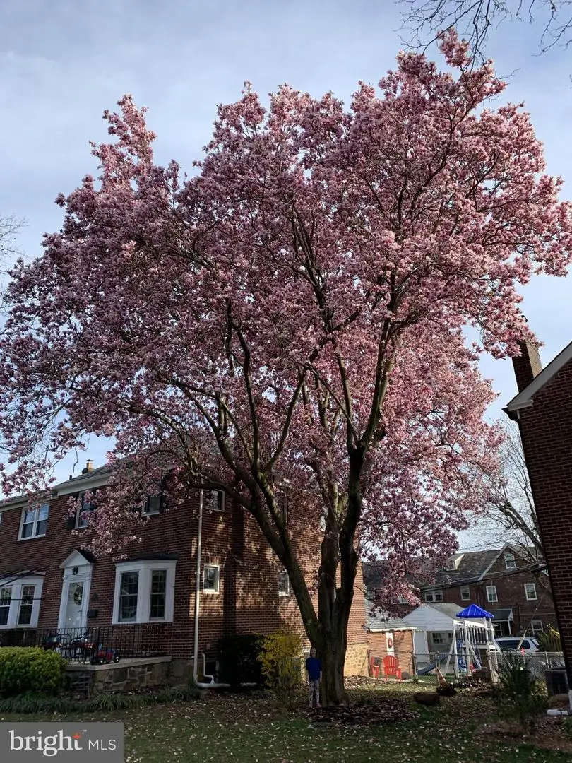 421 Regester Ave, Baltimore, MD 21212 - Image #1