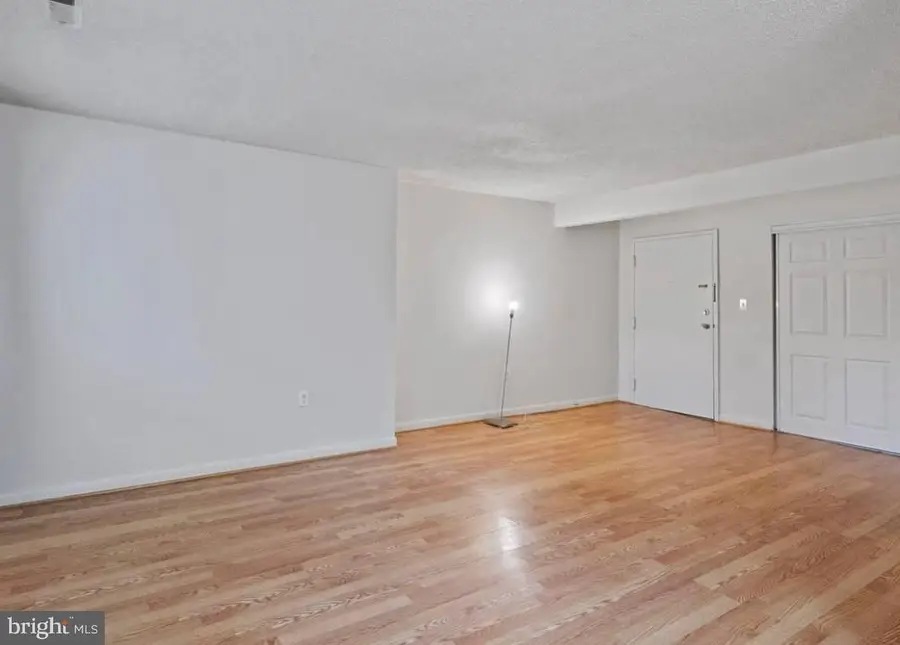 1 Windblown Ct #203, Baltimore, MD 21209 - Image #3