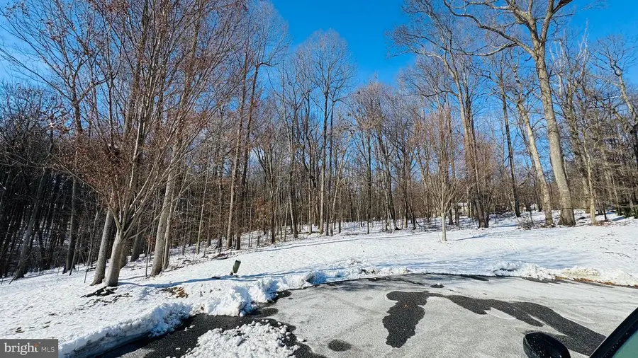 3235 Hunting Tweed Dr, Owings Mills, MD 21117 - Image #3