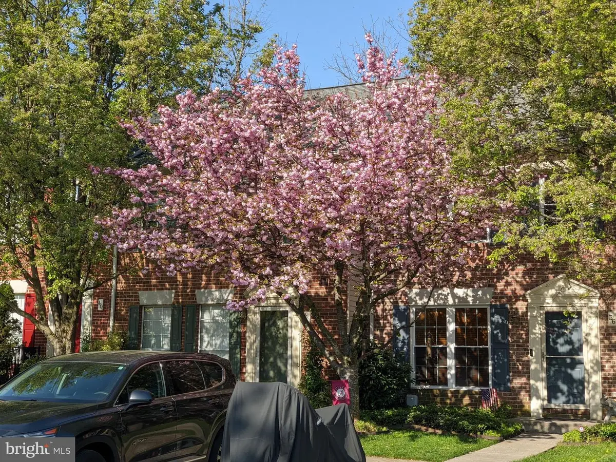 36 White Pine Ct, Cockeysville, MD 21030 - #1