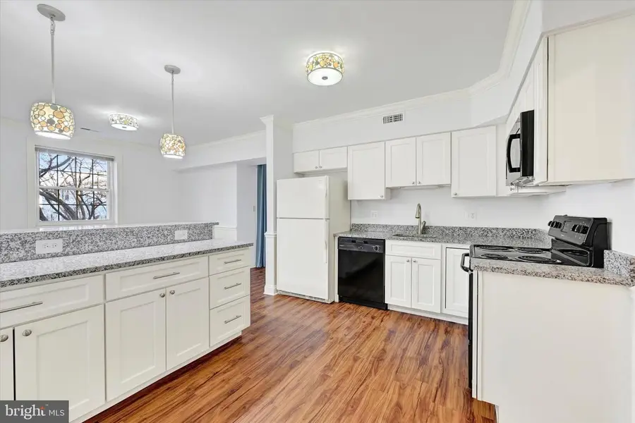 2 Elphin Ct #202, Lutherville Timonium, MD 21093 - #3