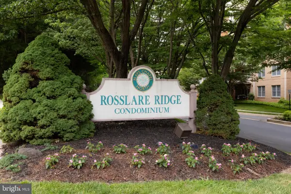 12300 Rosslare Ridge Road #501, LUTHERVILLE TIMONIUM, MD 21093