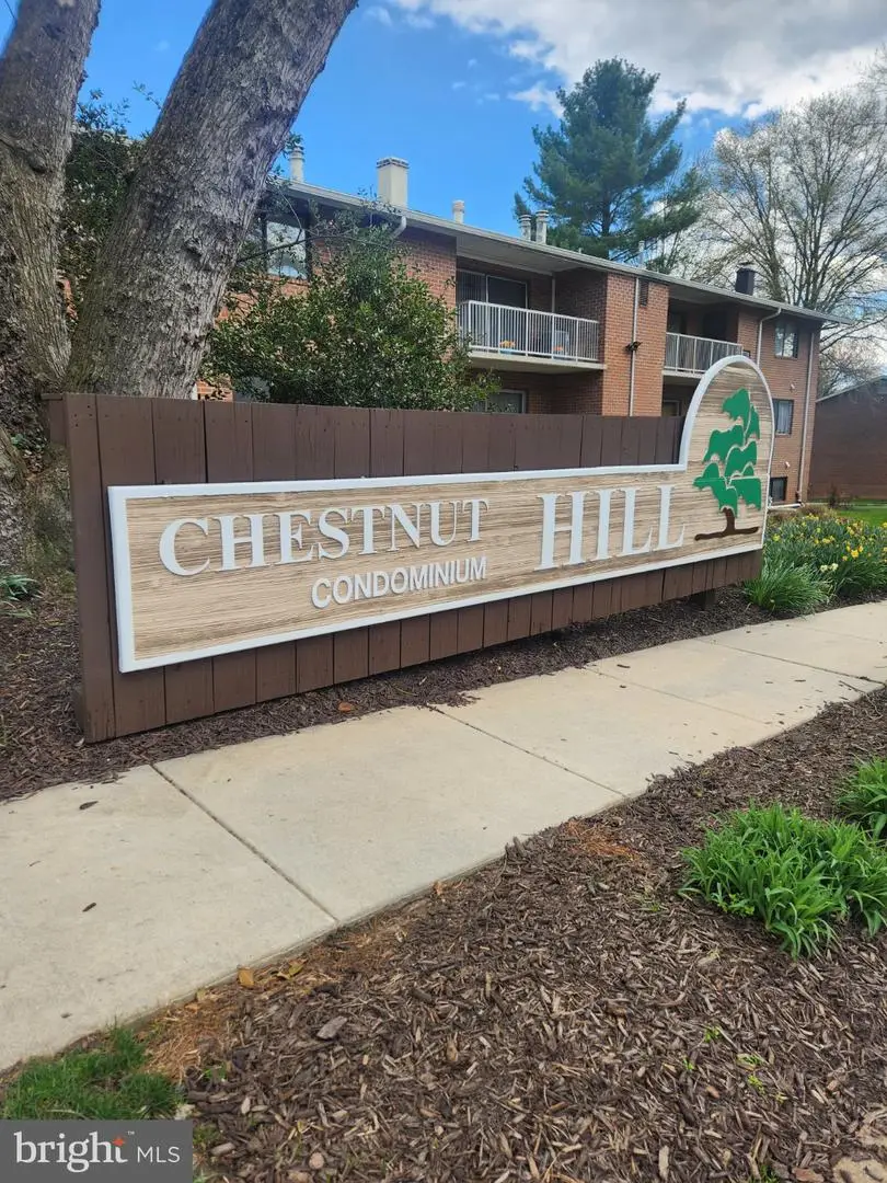 207 Erin Way #t4, Reisterstown, MD 21136 - #2