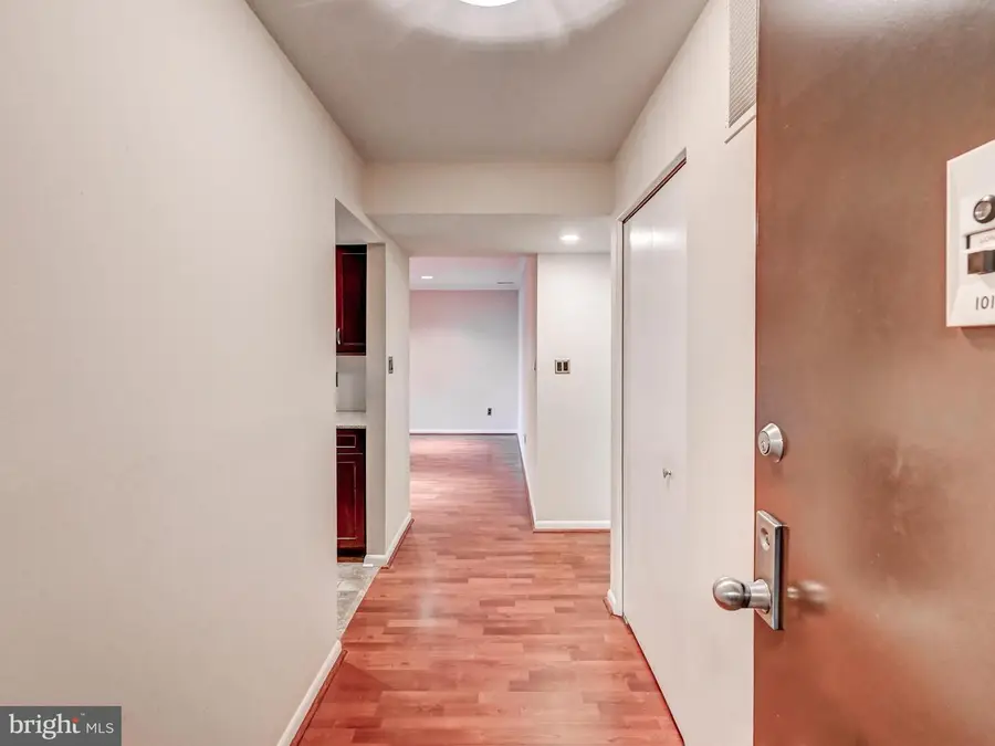 3 Mullingar Ct #101, Lutherville Timonium, MD 21093 - #2