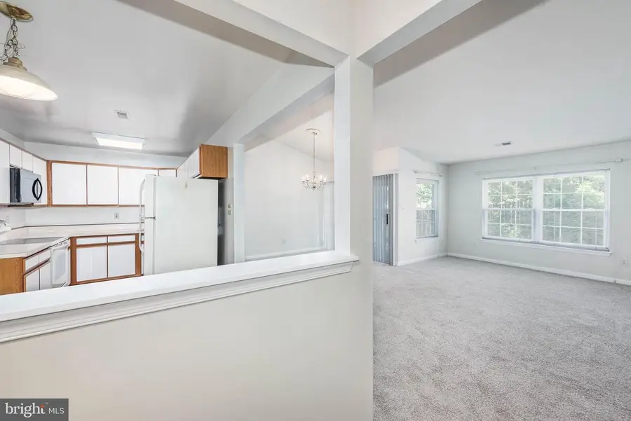 4 Rumford Dr #302, Catonsville, MD 21228 - #3