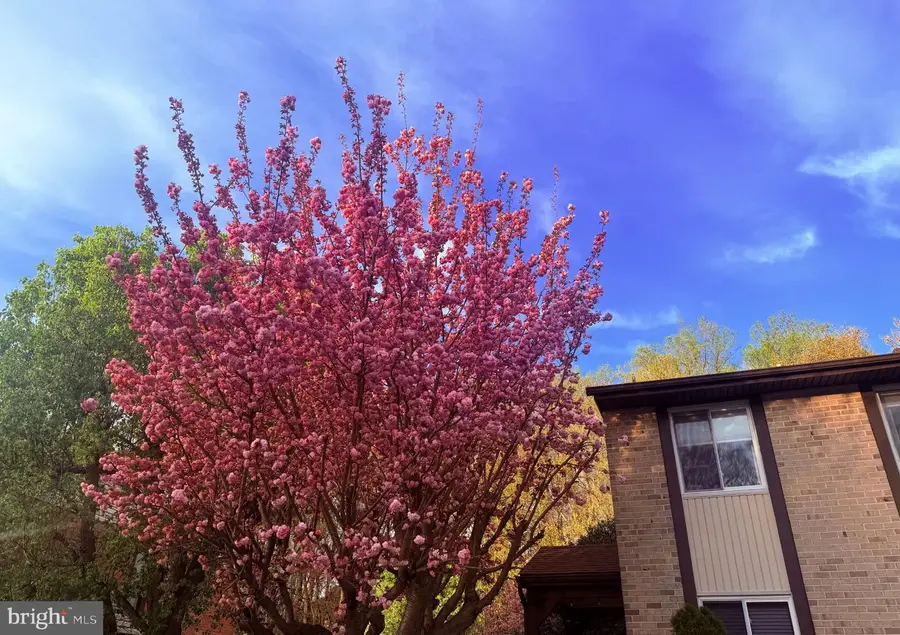 30 Bideford, Baltimore, MD 21234 - #2