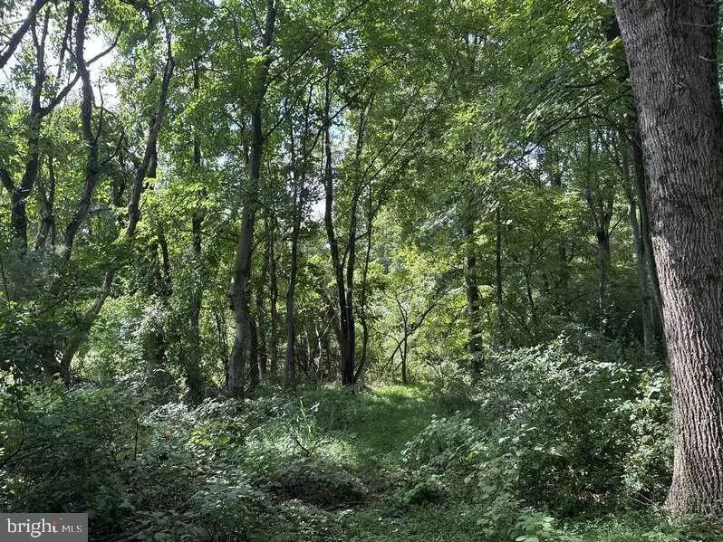 Missi Ct, Owings Mills, MD 21117 - #1