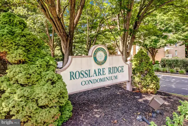 12320 Rosslare Ridge Rd #201, LUTHERVILLE TIMONIUM, MD 21093