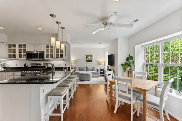 508 Limerick Cir #303, LUTHERVILLE TIMONIUM, MD 21093