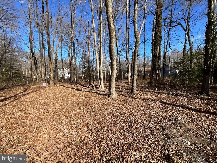 Holly Neck Road, Essex, MD 21221 - #2