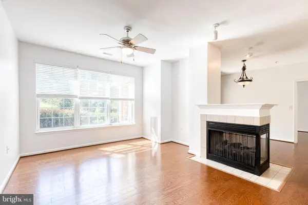 400 Symphony #142e, HUNT VALLEY, MD 21030