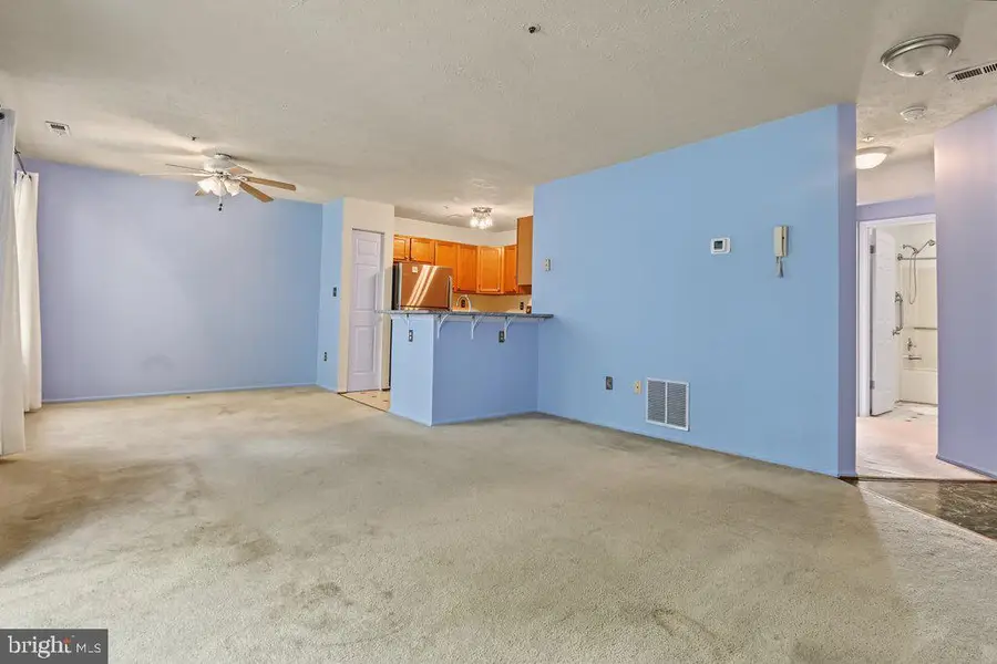 60 Jumpers Cir #252, Baltimore, MD 21236 - #3