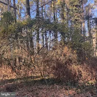 #2