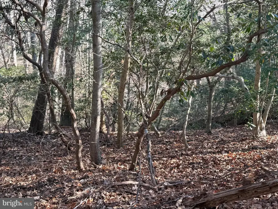 8272 Overlook Rd, Lusby, MD 20657 - Image #3