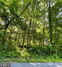 4345 Flora Ave, Prince Frederick, MD 20678 - #1