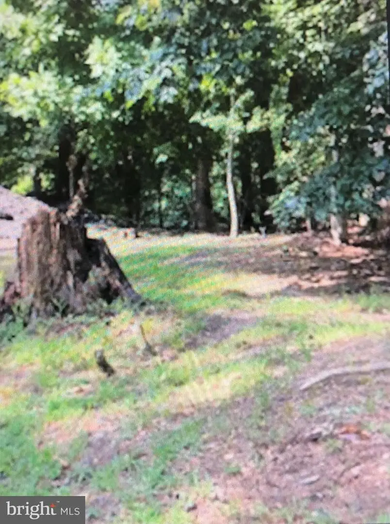 542 Maple Way, Lusby, MD 20657 - #1