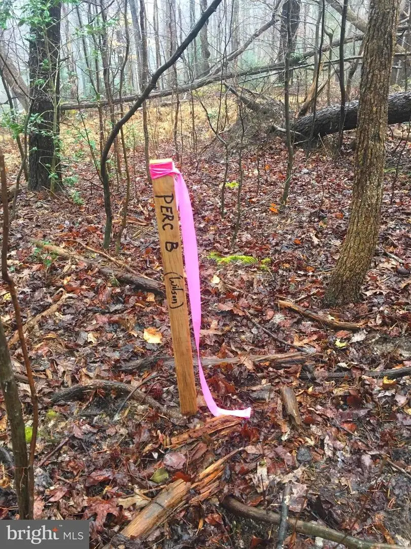 1750 Joe Harris Rd, Prince Frederick, MD 20678 - #3