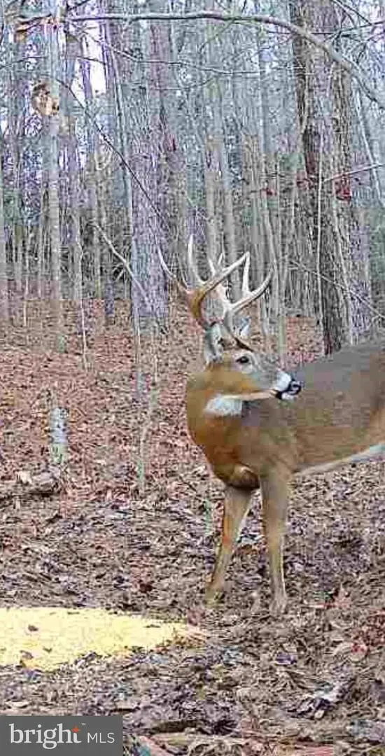 635 Tobacco Ridge Rd, Prince Frederick, MD 20678 - #2