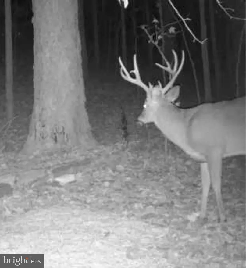 635 Tobacco Ridge Rd, Prince Frederick, MD 20678 - #3