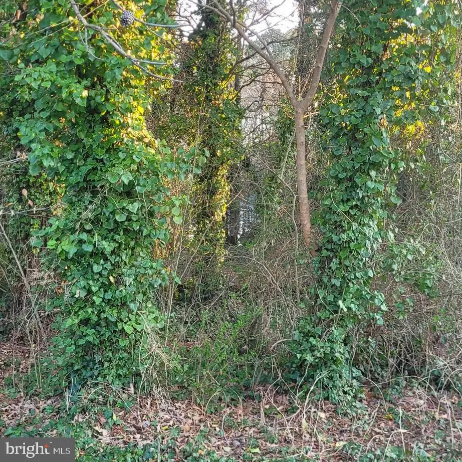 13000 Mills Creek Dr, Lusby, MD 20657 - #1