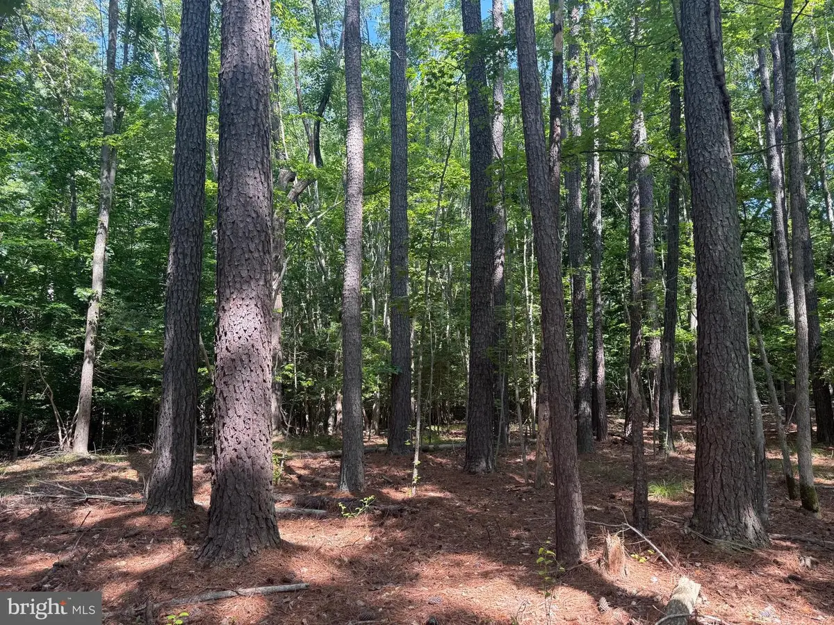 13435 Dowell Rd, Solomons, MD 20688 - #1
