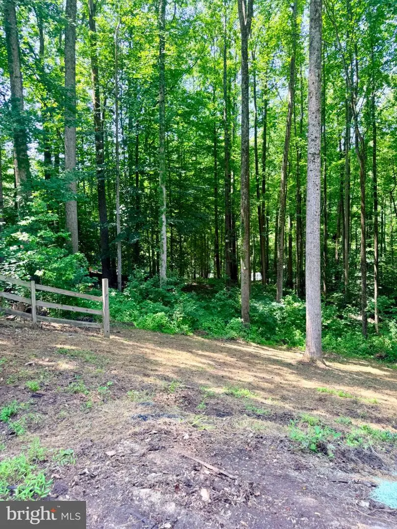 12810 Long Gun Dr, Dunkirk, MD 20754 - #3