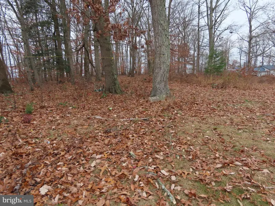 563 Principio Rd, Port Deposit, MD 21904 - Image #3