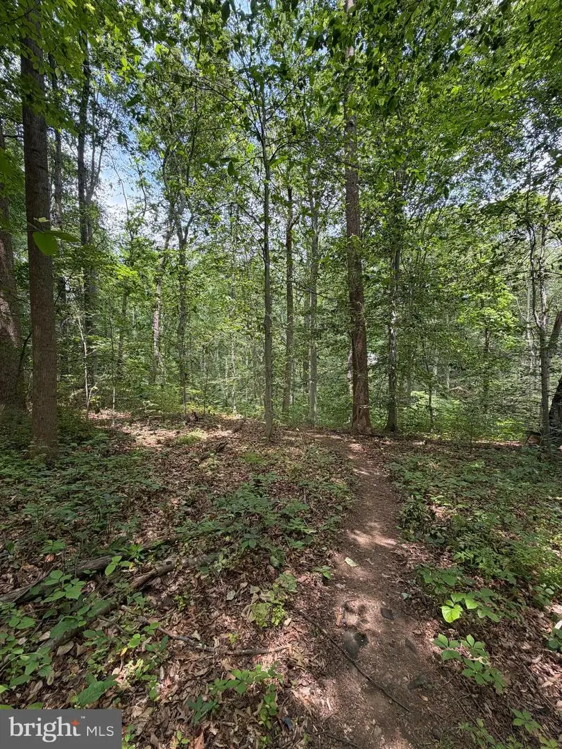 Ragan Rd, Conowingo, MD 21918 - #3