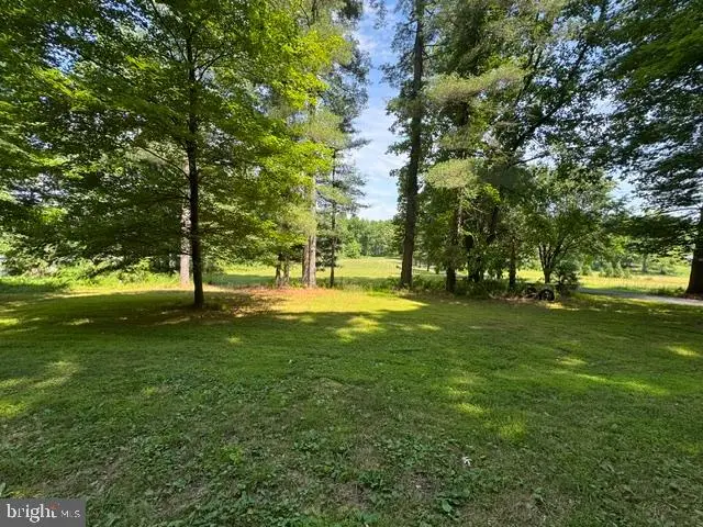Mccauley Rd, Conowingo, MD 21918 - #2