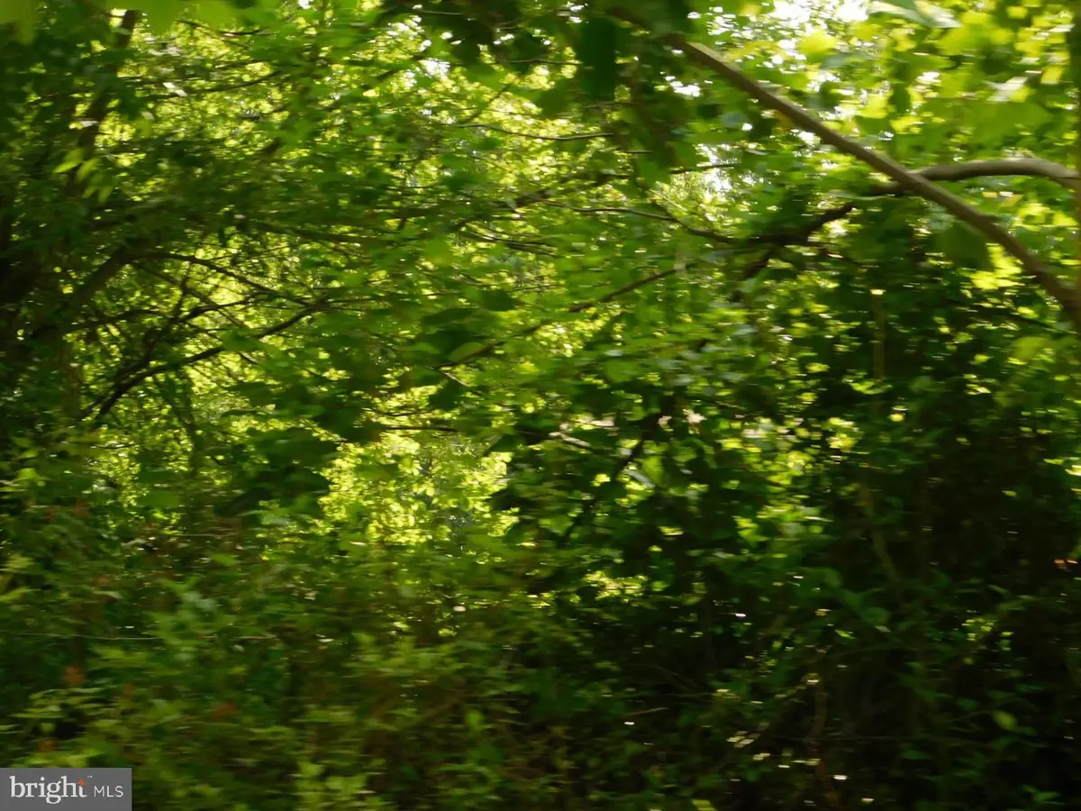 Pinewood Rd #lot #9, Earleville, MD 21919 - #1