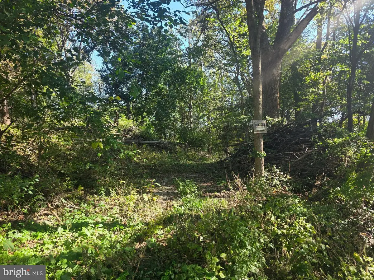 Martin Rd, Conowingo, MD 21918 - #1